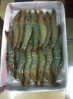 IQF HLSO or Hoso frozen Penaeus Vannamei Shrimp