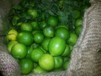 fresh lime and lemons