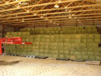 Alfalfa Hay Bales & Pellets  For Sale.