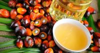 Best Quality Crude Palm Oil / Refined Palm Oil / Palm Oil