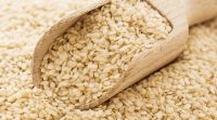 Sesame Seeds Best Exporter!