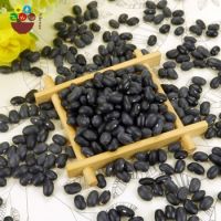 Wholesale chinese hot sale organic black kidney beans price per ton