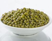 Green s/Vigna Beans