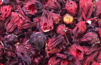 SELL DRIED HIBISCUS FLOWER