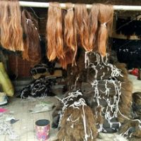 100% natural horse tail hairs