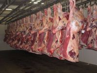 Frozen Mutton, Lamb, Sheep Meat, goat, 