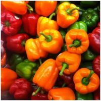 fresh bell pepers color peppers capsicums