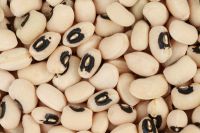 HIGH QUALITY COW PEAS