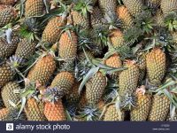 Fresh Pineapples for Sale