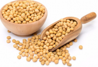 High Quality Soybeans For Sale