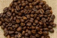 Coffee Beans and Garam Masala Exporters