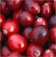 Cranberry extract