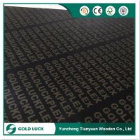 18mm Black Film Faced Plywood for Outdoor Use