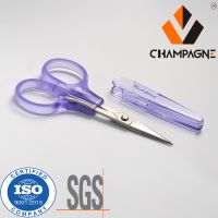 4 Inches Straight Pedicure Scissors