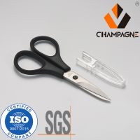 Small Stainless Steel Scissors