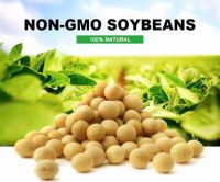 Soybeans - NON & GMO