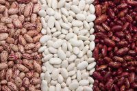 White And Red Kidney Beans