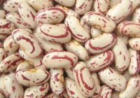Light Speckled Kidney Beans, Long shape