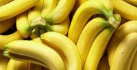 FRESH  BANANA HIGH QUALITY