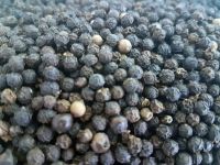 Best Quality Dried Style Black Pepper 550gl/ 500gl