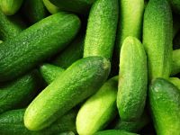 Fresh cucumber, frozen cucumber, green cucumber