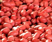 Red Skin Peanut Kernel