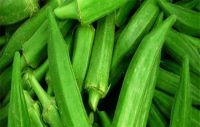 High quality grade A sliced or whole frozen fresh okra for sale
