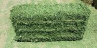 Quality / Animal feed /Alfalfa Meal / Alfalfa Hay For Sale