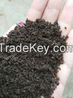 Organic fertilizer biohumus