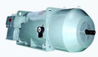 CG HT motors-LOKESHELECTRICALS.PVT.LTD