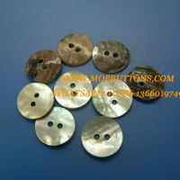 Nature Japanese Agoya Shell Buttons Round Shape for Sweater, Blazer and other Clothing Sewing