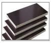 Sell Black film faced plywood