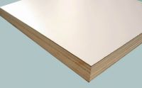 Sell White HPL plywood