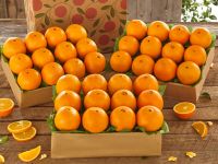 PREMIUM FRESH ORANGES - Big Orange fruits Best Price offer