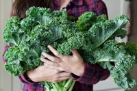 Fresh Organic Kale / Export quality / From South Africa