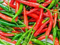 FRESH RED / GREEN CHILLI HIGH QUALITY BEST PRICE