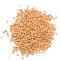 Mustard Seeds white and yellow 100% Organic