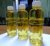 Quality Beech Nut Oil (High Quality Certified)