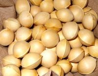 Ginkgo Nuts /Peeled Ginkgo Nuts/Raw Ginkgo Nuts