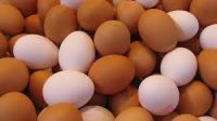 Eggs/fresh chicken, honey/eggs products