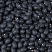 Black Beans