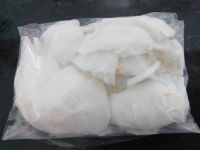 Frozen Coconut Meat