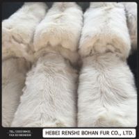 Natural Animal Skin Raccoon fur