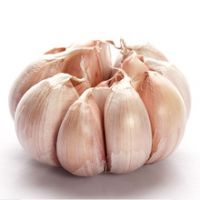 5.5cm Fresh Normal White Garlic