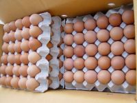 Fresh white and brown chicken table eggs