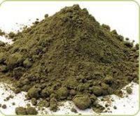 Best Selling Kelp Powder/Kelp Seaweed Extract