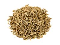 99 % Machine Clean Cumin Seed