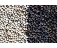 Top Quality Black and  White Pepper