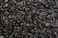 100% Black Sunflower Seeds