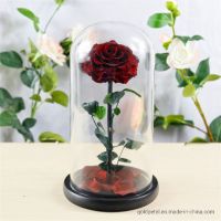 Preserved Rose Flower Box The Big Prince for Beautiful Gifts